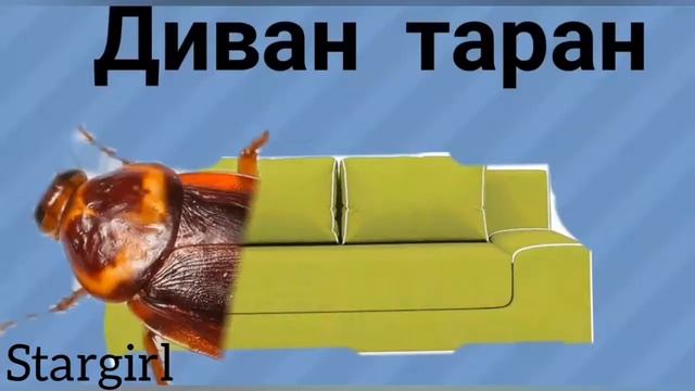 Зайчик чайчик, птичка табличка, диван таракан, хрюшка ракушка