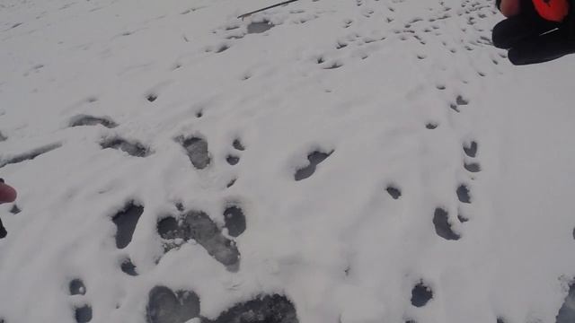 Зимняя рыбалка! ОКУНЬ на БЛЕСНУ и балансир! Рыбалка в ПОДМОСКОВЬЕ!!! Лучшая блесна на окуня!!! смотреть онлайн