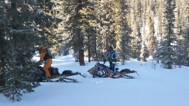 ЕРГАКИ 2019, ДЕНЬ РОЖДЕНИЕ ДОНАЛЬДА