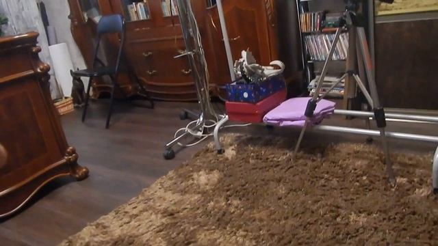 Белый комочек счастья.Первые дни появления котенка Артинка. смотреть онлайн