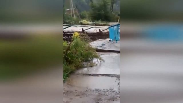 Тайфун "Хиннамнор" // Призыв о помощи смотреть онлайн