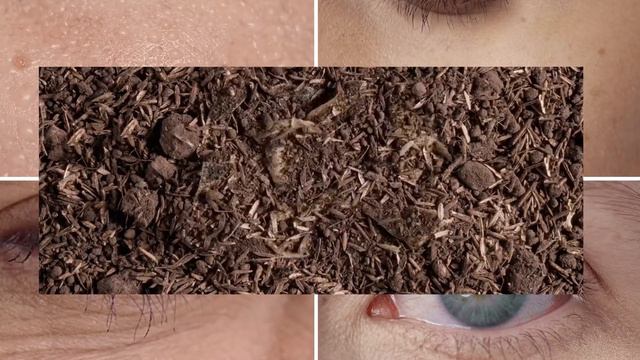 ¡Toallitas biodegradables Pomys! El planeta y tu piel merecen lo mejor ✨💜 смотреть онлайн