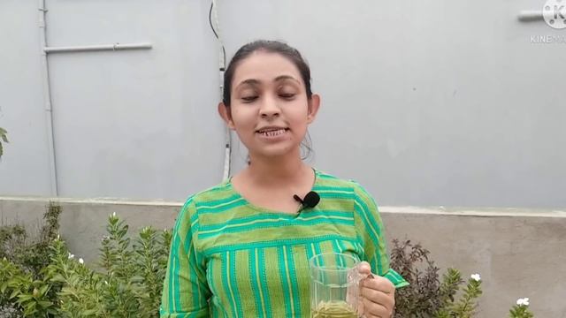 How And When To Drink Green Tea For Weight Loss In Bengali ।। By Let's Enjoy Life ।। смотреть онлайн