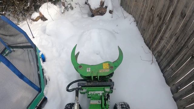 Avant 220 & Tree Work