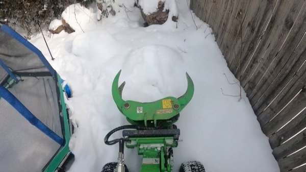 Avant 220 & Tree Work