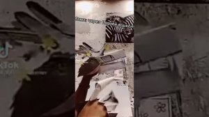 [~?драконы из ТИК ТОКА?~] 2 часть   [☁︎kuro_myMelody☁︎]