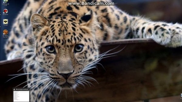 Проблема с установкой драйверов на видеокарту GeForce в Windows 10