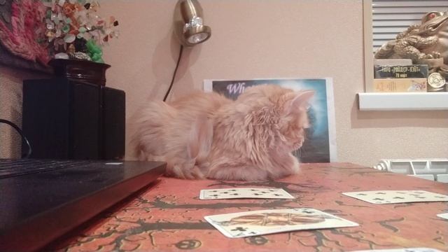 Крестовая дама смотреть онлайн