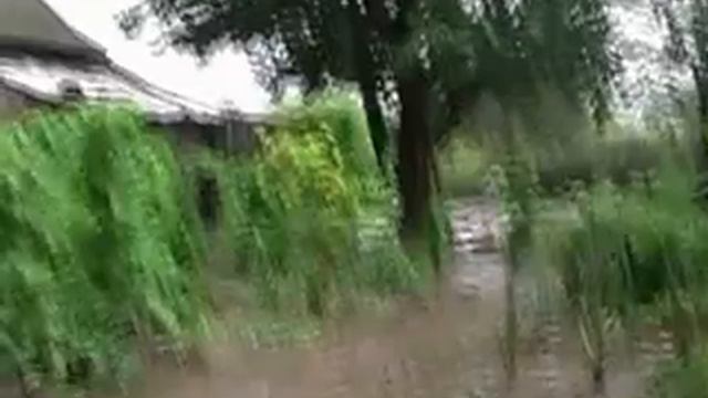 беленькое смотреть онлайн