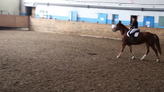 03MAR2016 Zentaur@KJA (e1) смотреть онлайн