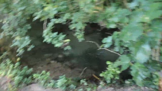 Isle sur la Sorgue смотреть онлайн