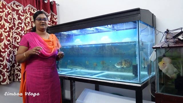 Monster Alligator Gars Tank Updates | 6 Feet Fish Tank Stand Changes | Simbaa Vlogs смотреть онлайн