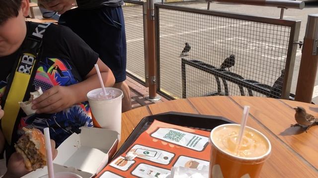 Испугался, обосрался