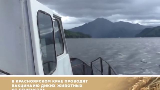 О хлебе насущном от 11.05.19