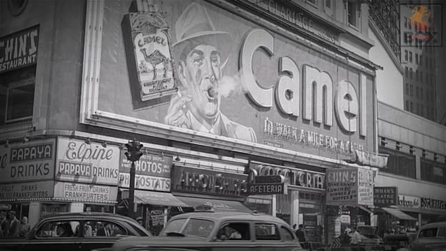 7 Historical images that are Rarely Published #history #fact #rarephotos #historical смотреть онлайн