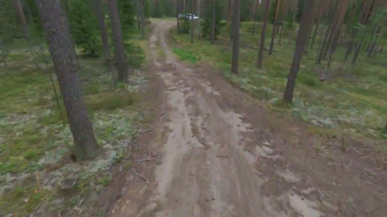 Лес сверху смотреть онлайн