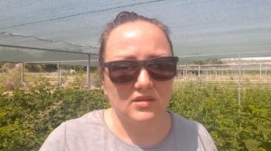 Клещи и  гусеницы на малине и ежевике. Главные вредители жаркого периода