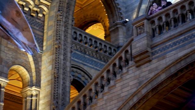 Музеи в Лондоне.Музей Естественной Науки Лондон.Музей Естествознания Лондон.Лондон Интересное смотреть онлайн