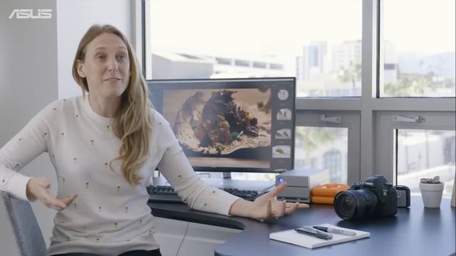 ASUS ProArt Series Monitors | For Content Creation смотреть онлайн