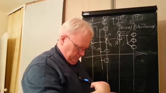 Родословная - графика смотреть онлайн