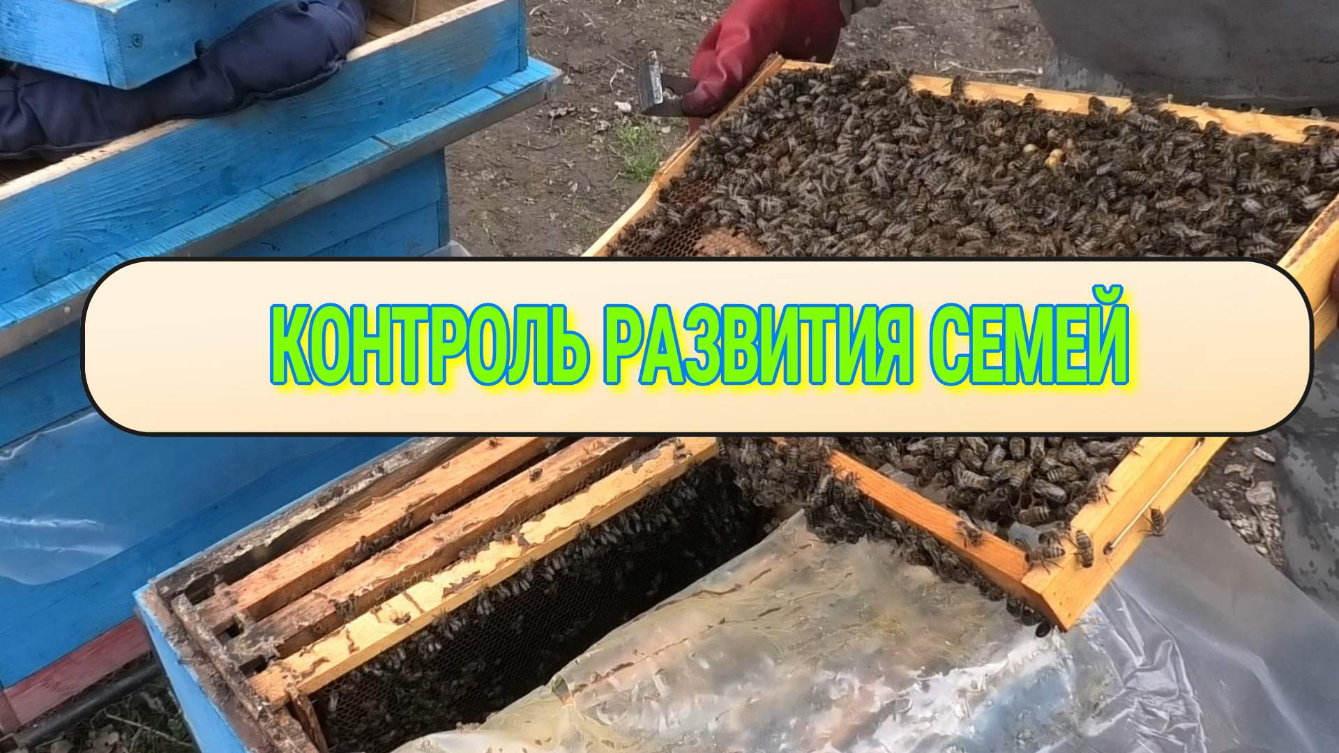 ВЕСЕНИЕ НАСТРОЕНИЕ смотреть онлайн