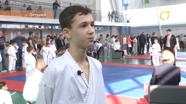 Чемпионат и первенство Петушинского района по ВБЕ СЕТОКАН. смотреть онлайн