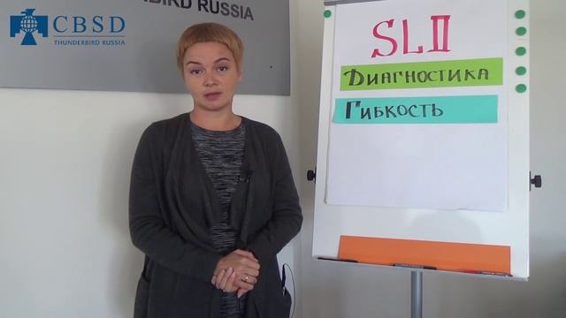 Ситуационное руководство или SL II - тренер Юлия Левина смотреть онлайн