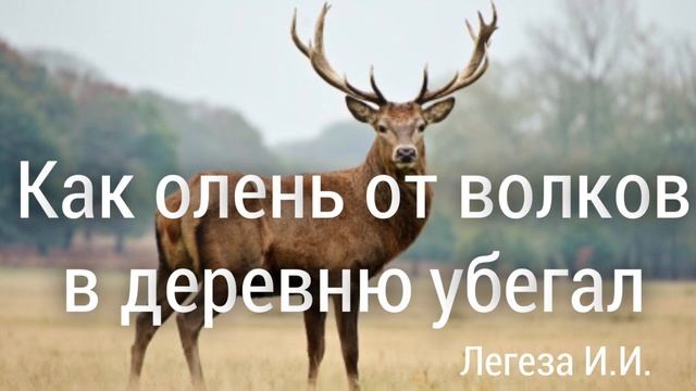 Как олень от волков в деревню убегал.Легеза И.И. смотреть онлайн