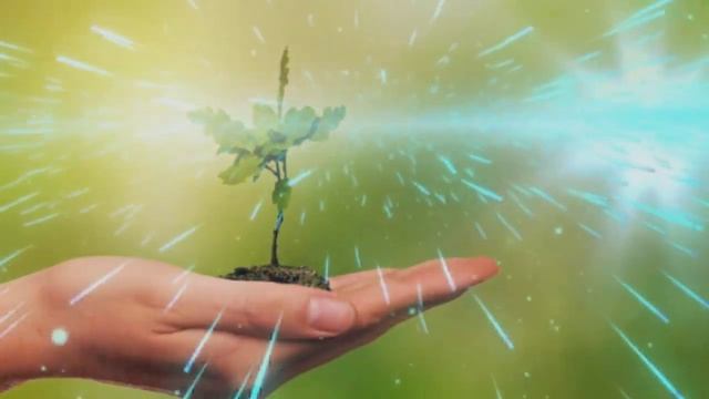 Медитация на Родовое дерево: Ответ на тревожащий Вас вопрос смотреть онлайн