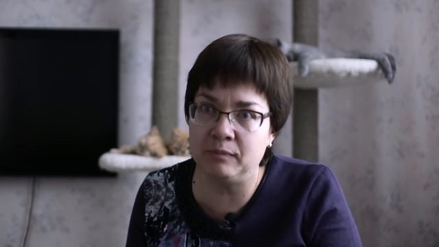 Британские кошки