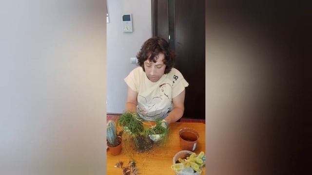 Флорариум , мини садик , кактусы и суккуленты смотреть онлайн