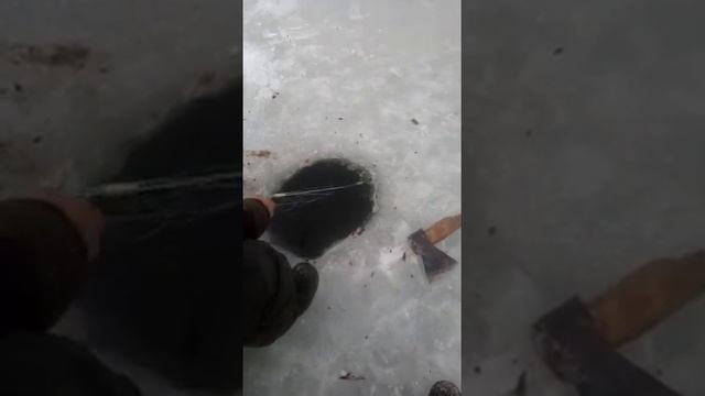 рыбалка в якутии Караси смотреть онлайн