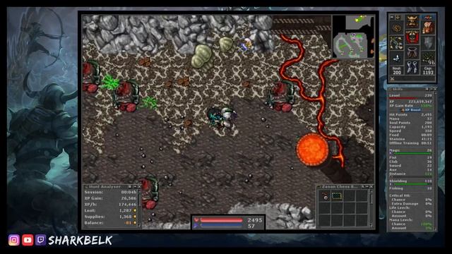 VANDURA BONELORD CAVE - Where To Profit With Paladins Lvl 70+ [TIBIA]