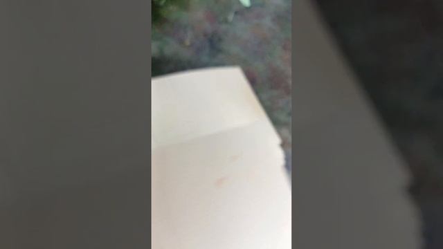 Акция на сорт ЭРЛИ РОУЗ продолжается ?! от 50-шт-по 150р.в 0,5-горшочках.г.Нарткала КБР! смотреть онлайн