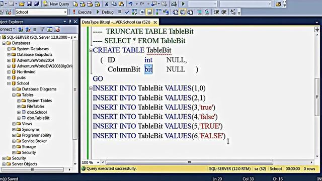 SQL Server Data Type - Bit (English) смотреть онлайн