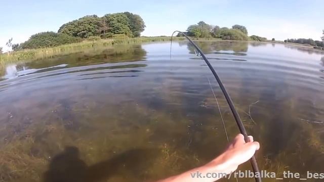 Вот это улов ! Fishhungru.СУПЕР КЛЁВ .Хочу такую прикормку ! смотреть онлайн