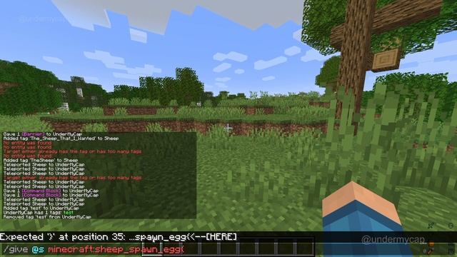 How to use the Minecraft Tag command in minecraft 1.19! Minecraft /tag command tutorial Java смотреть онлайн