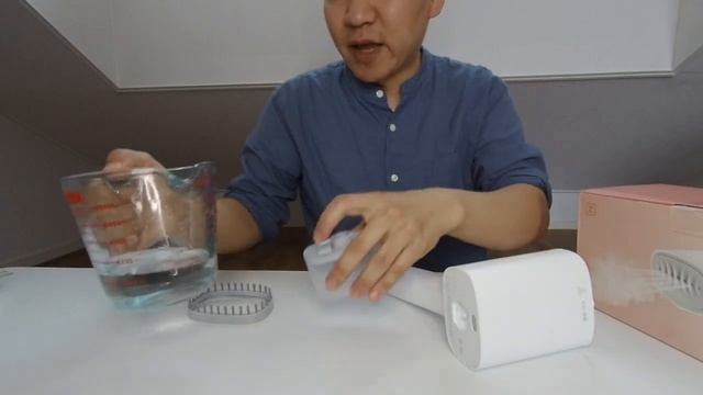 Xiaomi Hand Held Steam Iron  | 샤오미 핸디형 스팀 다리미