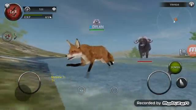 Fox Zombie Buffalo and Wings in Wild Animals Online смотреть онлайн