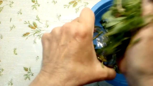 Домовенок Ремонтович