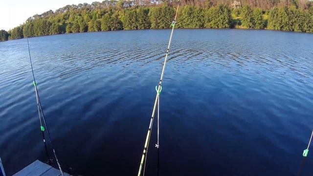 Рыбалка на пруду | село Архангельское | 3 июля 2022 смотреть онлайн