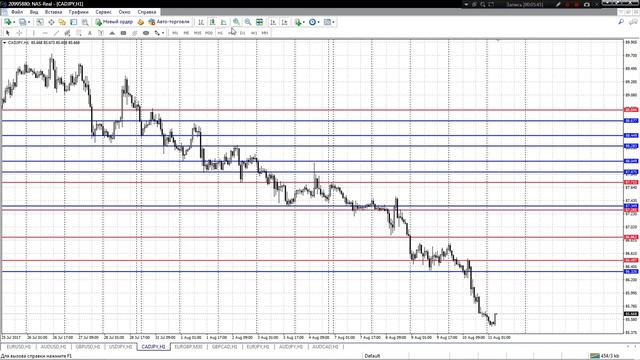 Обзор рынка форекс 11.08.2017 от Руслана Леоненко смотреть онлайн
