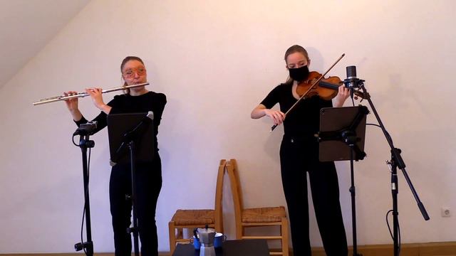 Duo Feinsinn, Jennifer Seubel (flute) & Veronique De Raedemaeker (violin): music by Bach & Kaunzner смотреть онлайн