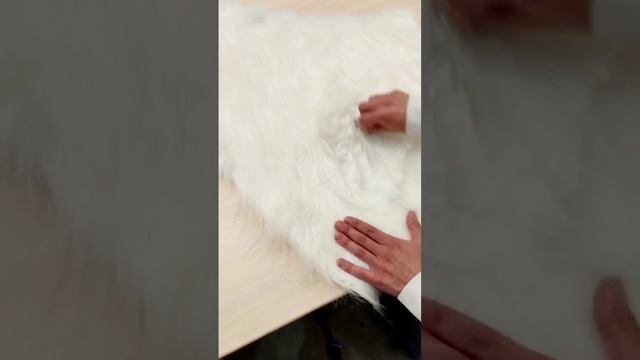 Чистка меха. Надувной костюм белый медведь смотреть онлайн