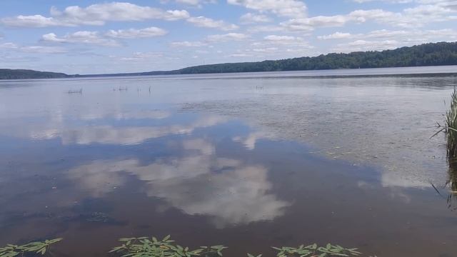 ХРОНИКИ ПОДВОДНОГО ПОИСКА смотреть онлайн