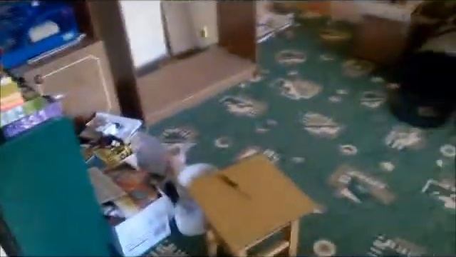 Юля хочет нанять домработницу смотреть онлайн