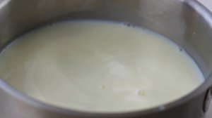 ЙОГУРТ В ДЕГИДРАТОРЕ. Домашний рецепт