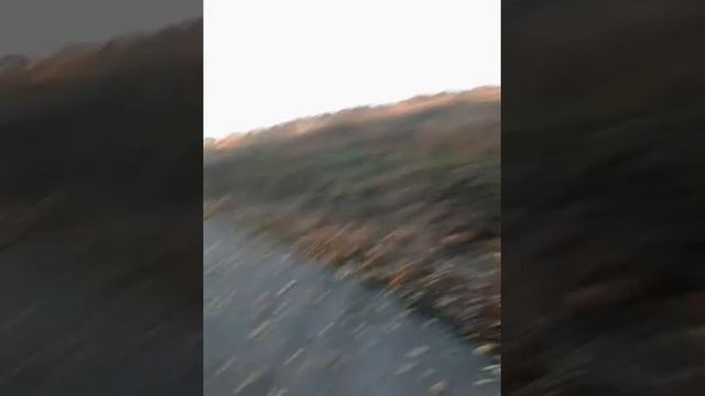 Ох русское поле смотреть онлайн