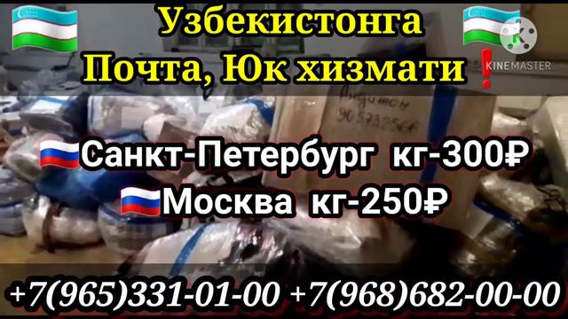 Москва ташкент грузоперевозок почта хизмати Санкт-Петербург ташкент грузоперевозок почта карго дост смотреть онлайн