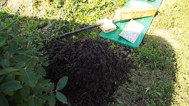 Выход воска из мервы смотреть онлайн